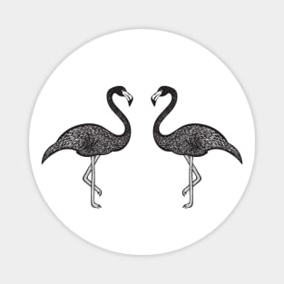 Flamingos in Love - cute and fun bird design - light colors Magnet